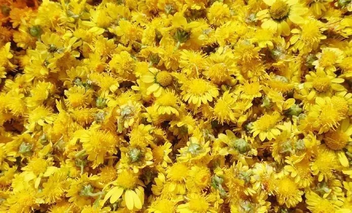 Chrysanthemum Extract.jpg